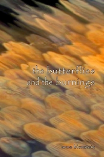 The Butterflies and the
                                          Burnings, Anne Blonstein